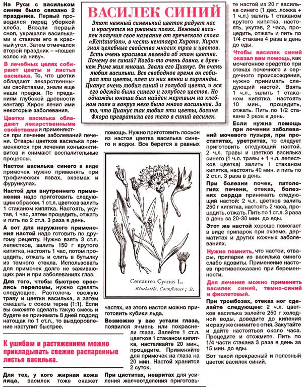 Василек цветки 100 гр. в Сургуте