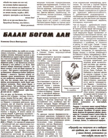 Бадан лист 100 гр. в Сургуте
