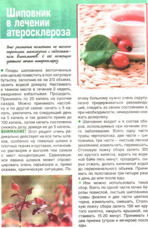 Шиповник плоды 100 гр. в Сургуте