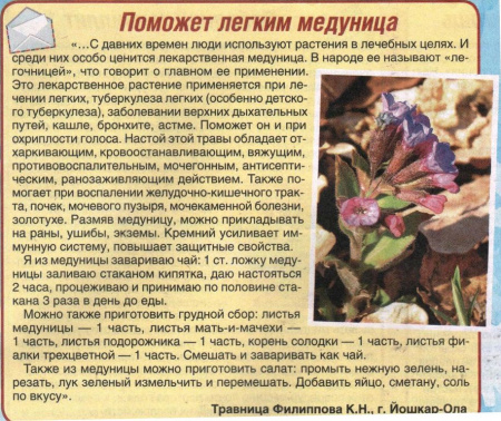 Медуница трава 100 гр. в Сургуте