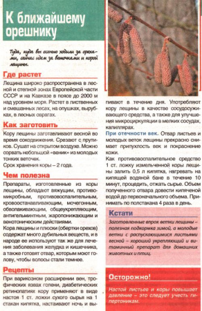 Лещина лист 200 гр. в Сургуте
