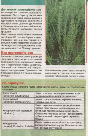 Хвощ трава 200 гр. в Сургуте