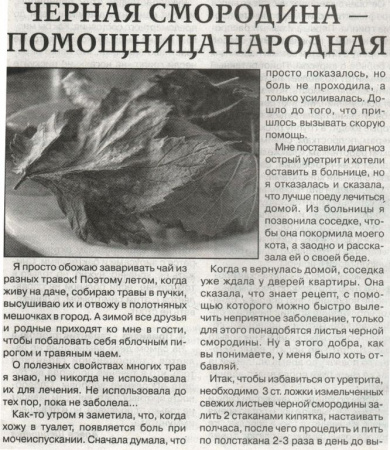 Смородина лист 200 гр. в Сургуте